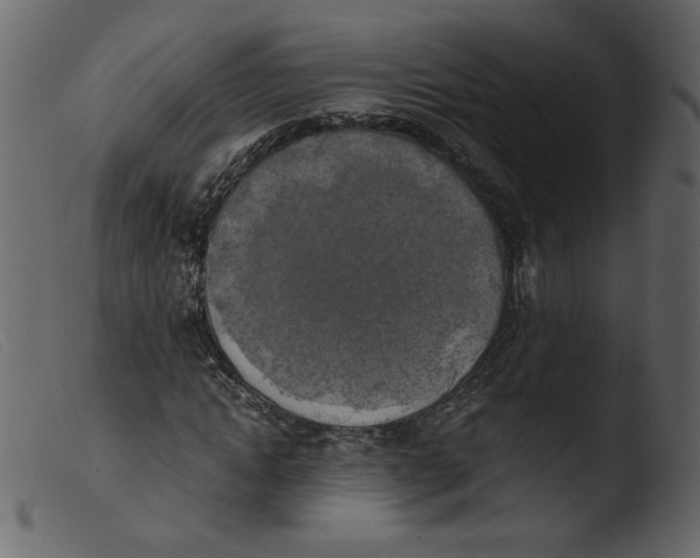 X0000103960822200810101242