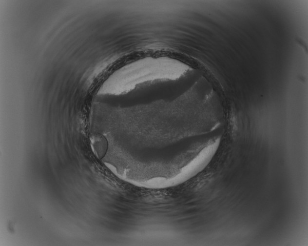 X0000103960823200810101242