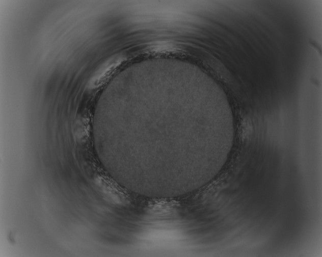 X0000103960824200810101242