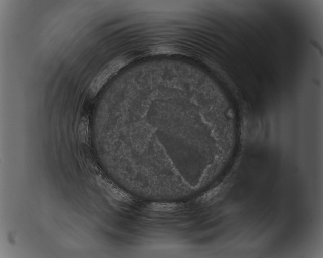 X0000103960825200810101242