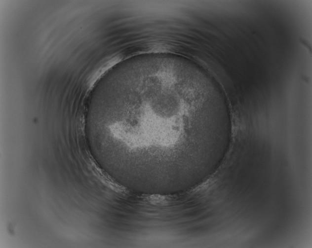 X0000103960827200810101242