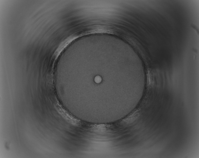 X0000103960828200810101242