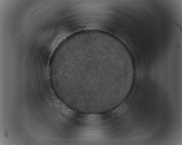 X0000103960832200810101242