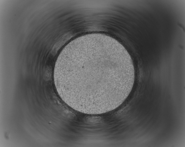 X0000103960833200810101242