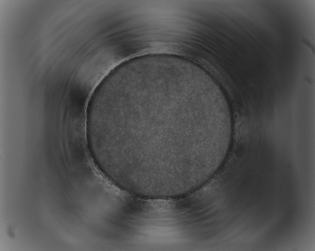 X0000103960836200810101242