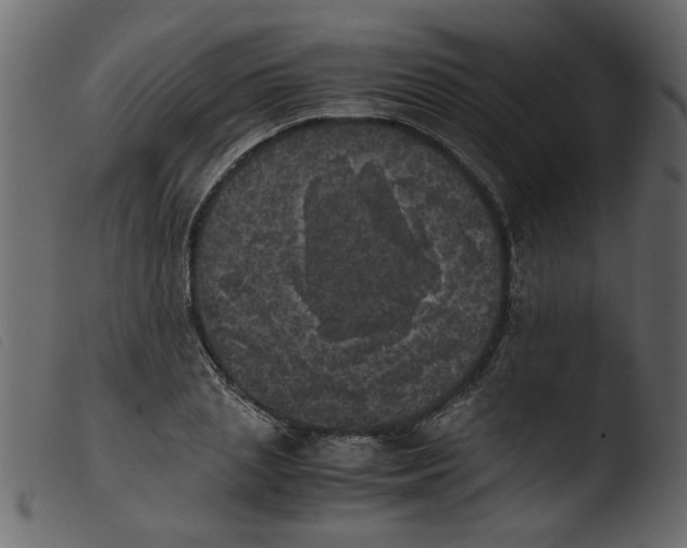 X0000103960837200810101243