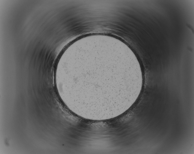 X0000103960838200810101243