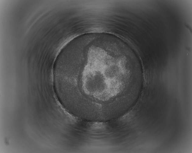 X0000103960839200810101243