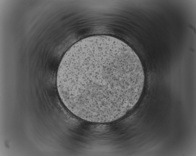 X0000103960841200810101243