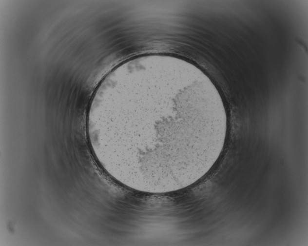 X0000103960842200810101243