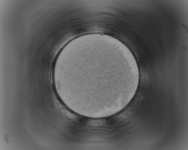 X0000103960843200810101243