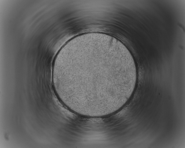 X0000103960844200810101243