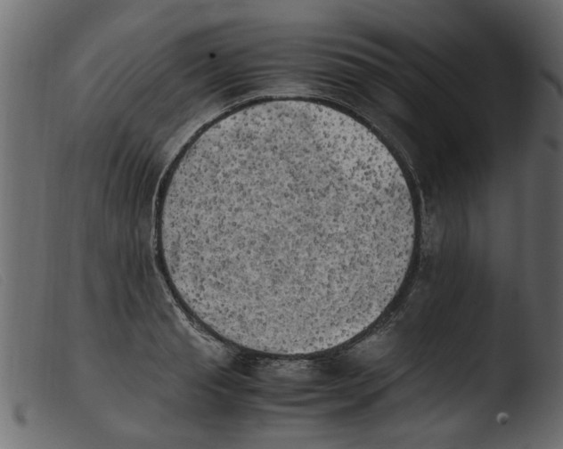 X0000103960845200810101243