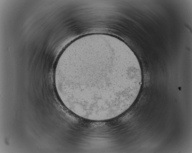 X0000103960846200810101243