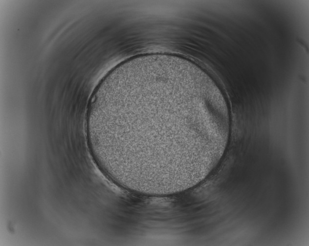 X0000103960847200810101243