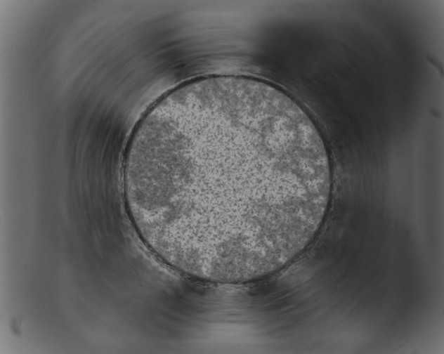 X0000103960848200810101243