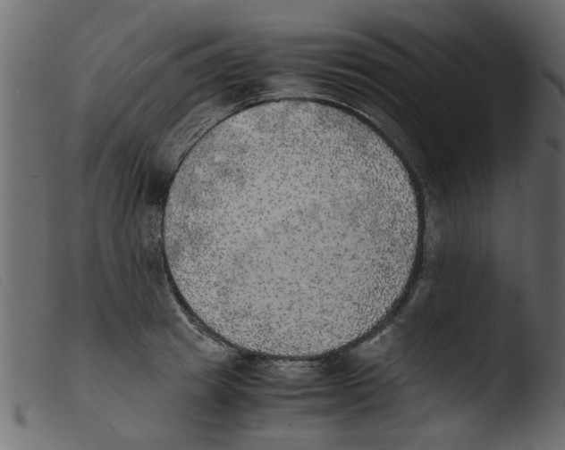 X0000103960849200810101243