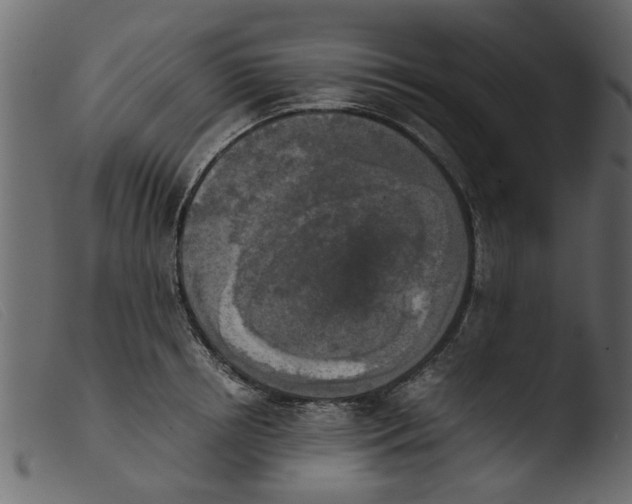 X0000103960850200810101243