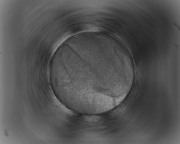 X0000103960851200810101243