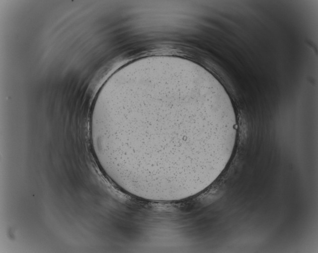 X0000103960852200810101243