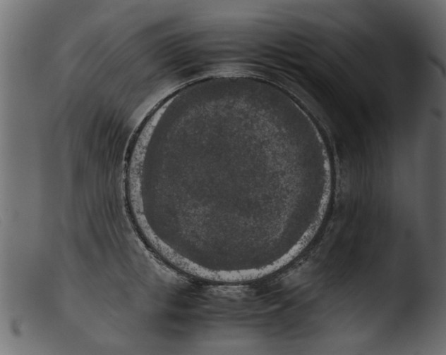 X0000103960853200810101243