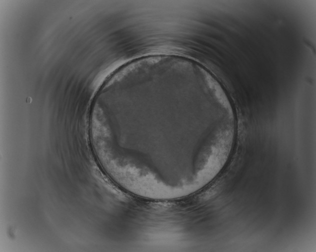 X0000103960854200810101243