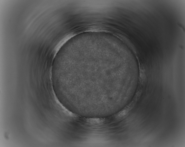 X0000103960855200810101243