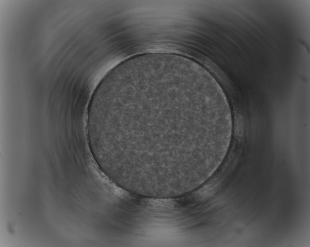 X0000103960856200810101243