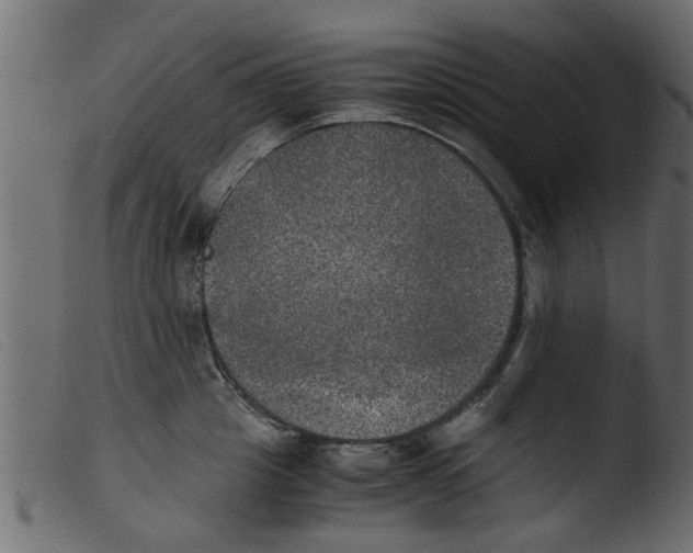 X0000103960857200810101243