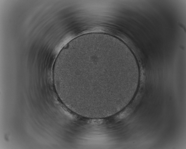 X0000103960858200810101243