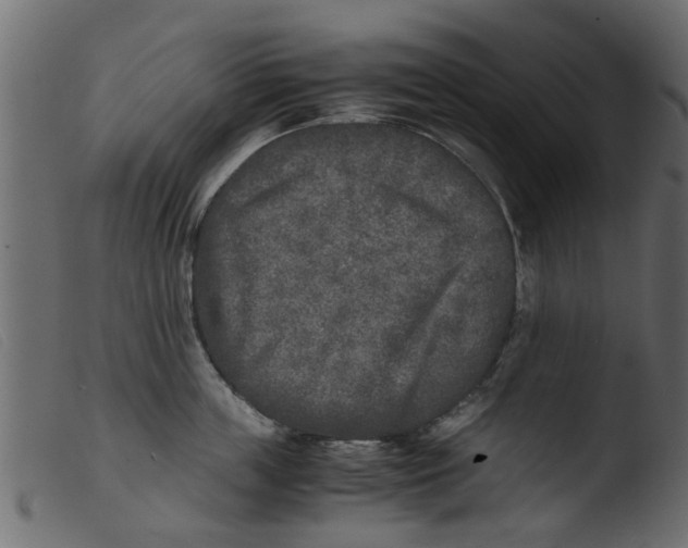 X0000103960859200810101243