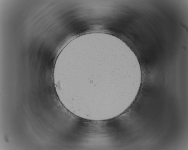 X0000103960860200810101243