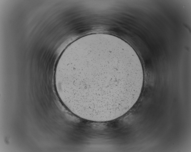 X0000103960861200810101243