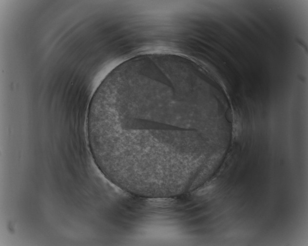 X0000103960863200810101243