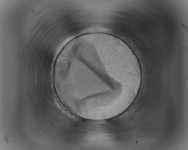 X0000103960864200810101243