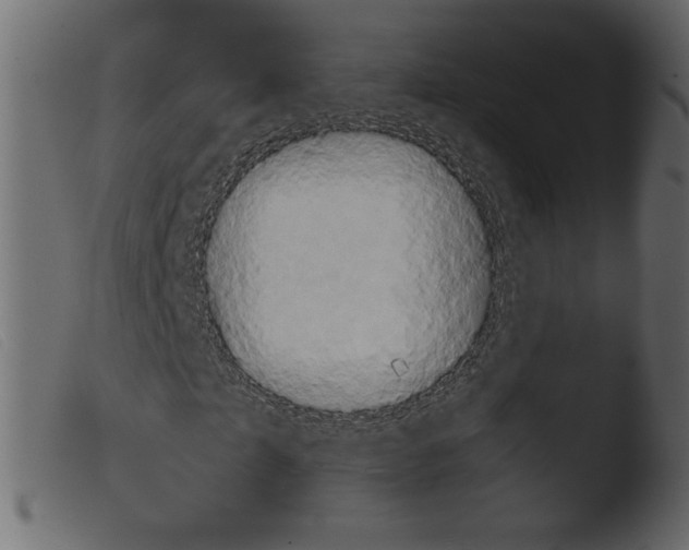 X0000103960865200810101242