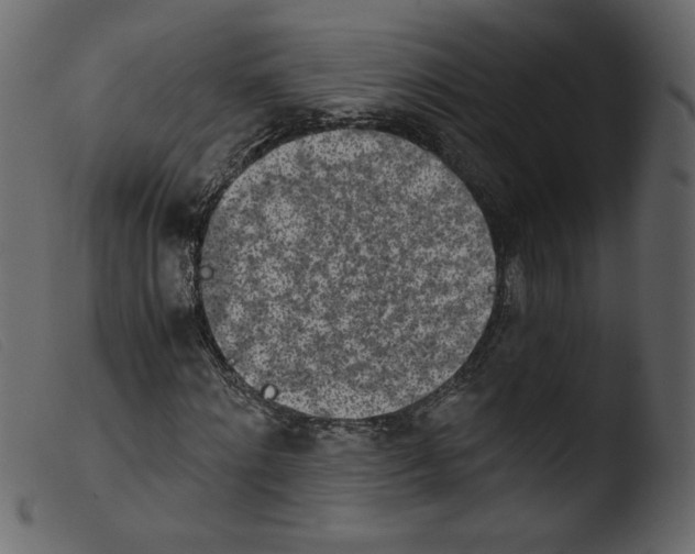 X0000103960868200810101242