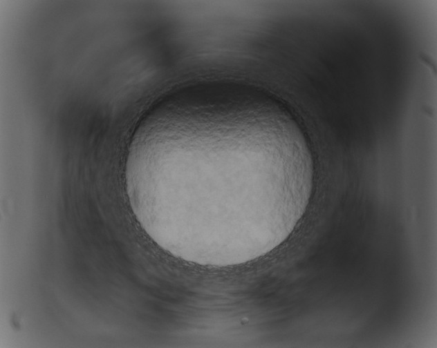 X0000103960869200810101242