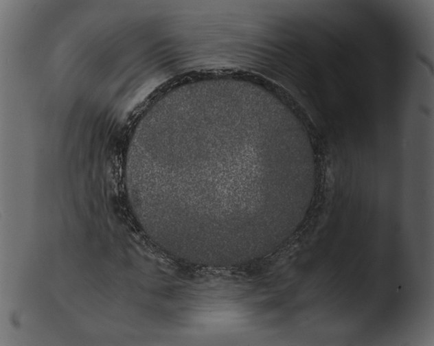 X0000103960871200810101242