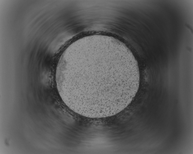 X0000103960872200810101242