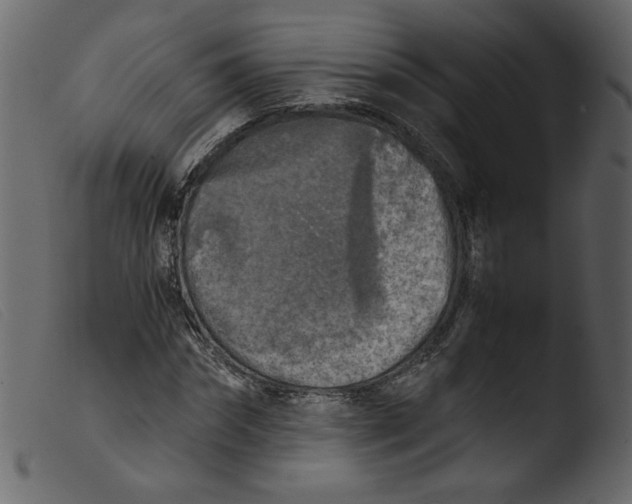 X0000103960874200810101242