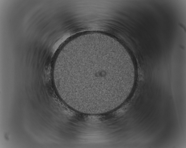 X0000103960875200810101242