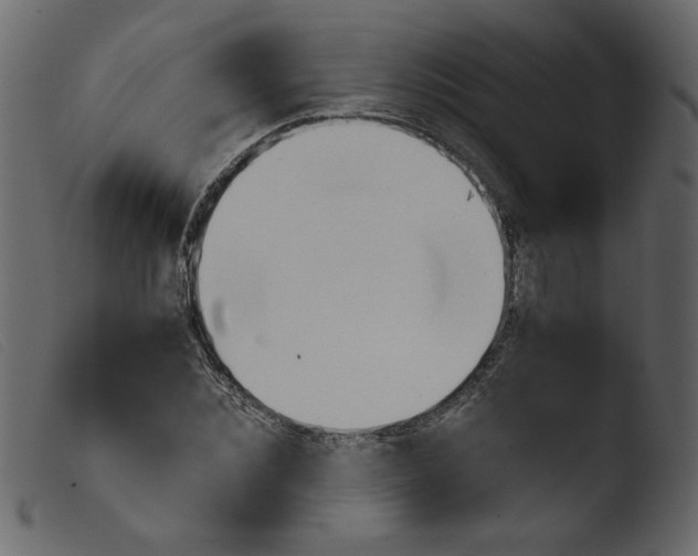 X0000103960876200810101242