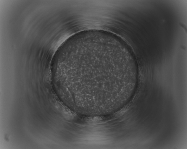 X0000103960879200810101242