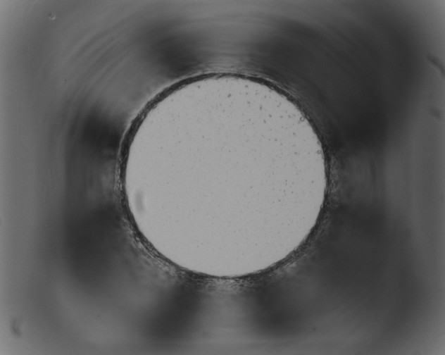 X0000103960880200810101242