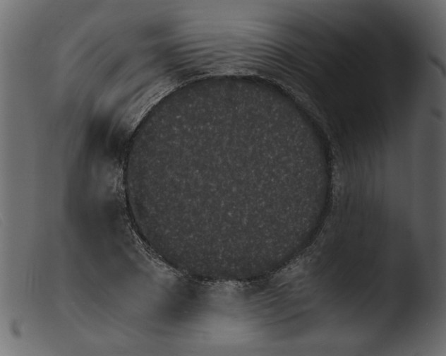 X0000103960881200810101242