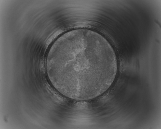 X0000103960882200810101242