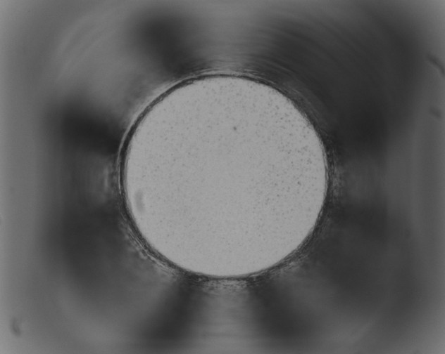 X0000103960884200810101242