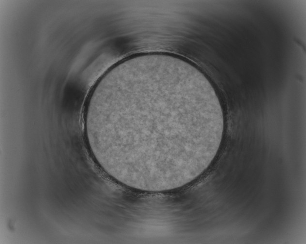 X0000103960885200810101242