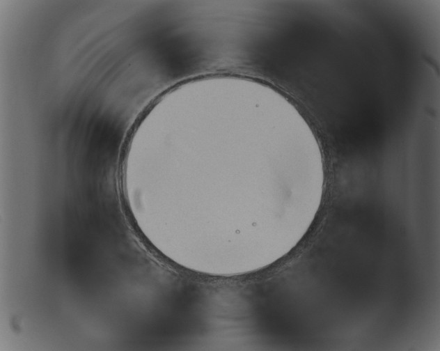 X0000103960888200810101242